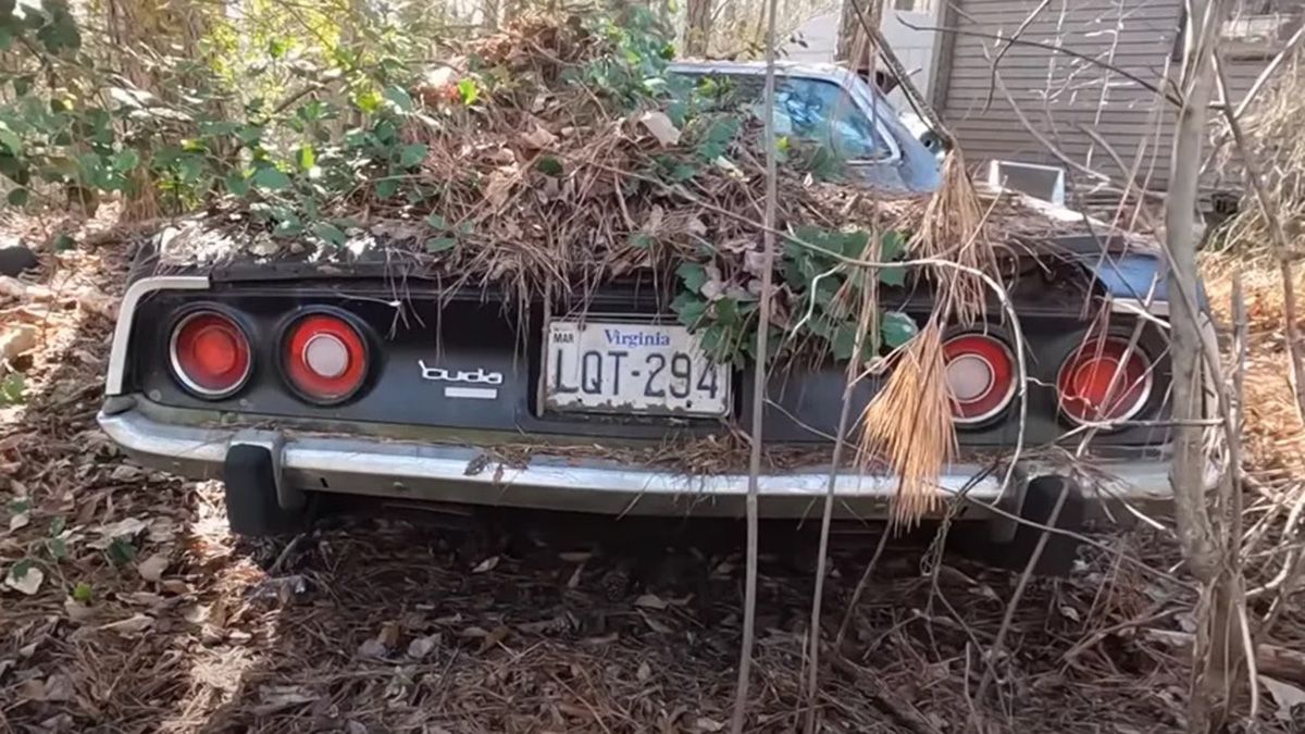 El padre de Rachel era fanático de los Plymouth Cuda y tenía más de uno en su jardín