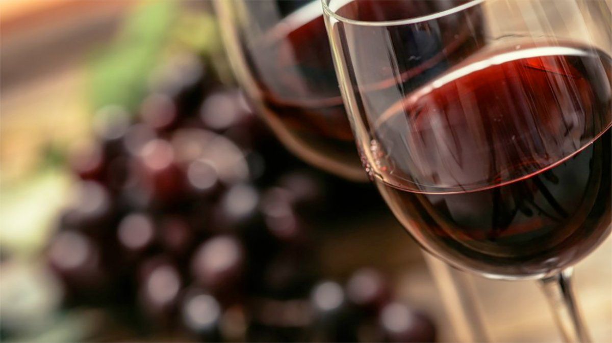 Póngale por las hileras, que hay que innovar la bodega