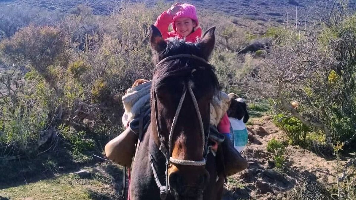 La sonrisa y la libertad de criarse en el campo. Sofía se ocupa de los chivos con gran alegría y así pasará el Día del Niño. La sonrisa y la libertad de criarse en el campo. Sofía se ocupa de los chivos con gran alegría y así pasará el Día del Niño.