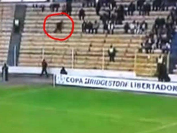 Mete miedo: las cámaras de Fox Sports detectaron un fantasma en un partido de la Libertadores