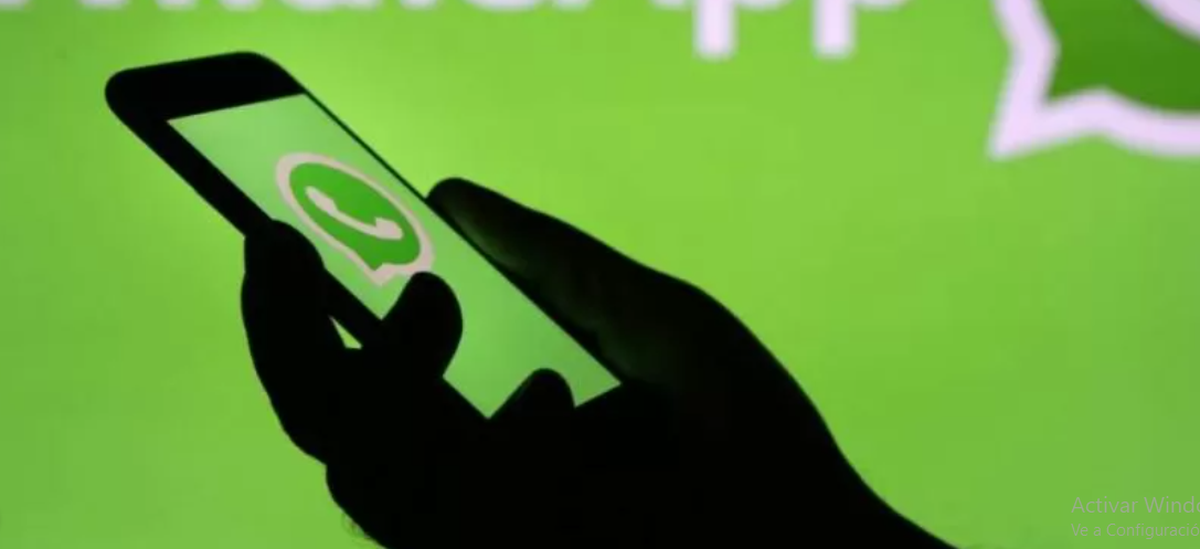 Tecnología. WhatsApp: alerta por una función que atrofia la memoria.