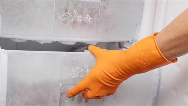 Compró un freezer usado en oferta y cuando lo abrió se llevó una sorpresa macabra
