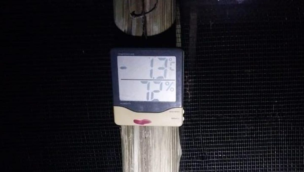 La foto muestra el termómetro de una finca durante la madrugada del miércoles: -1,3 grados. Imagen: Matías Pascualetti. La foto muestra el termómetro de una finca durante la madrugada del miércoles: -1,3 grados. Imagen: Matías Pascualetti.