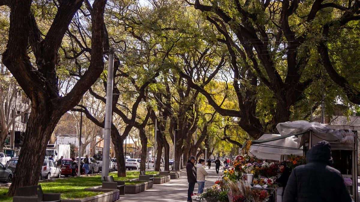 Para los bares y restaurantes de la Alameda, así como los puestos de flores, el municipio evaluará cada caso en particular. Para los bares y restaurantes de la Alameda, así como los puestos de flores, el municipio evaluará cada caso en particular.
