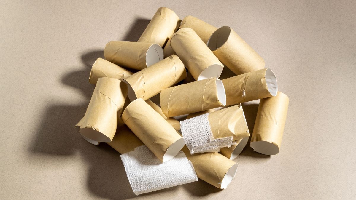 Con tubos de papel higiénico lograrás crear una fantástica idea DIY. Con tubos de papel higiénico lograrás crear una fantástica idea DIY.