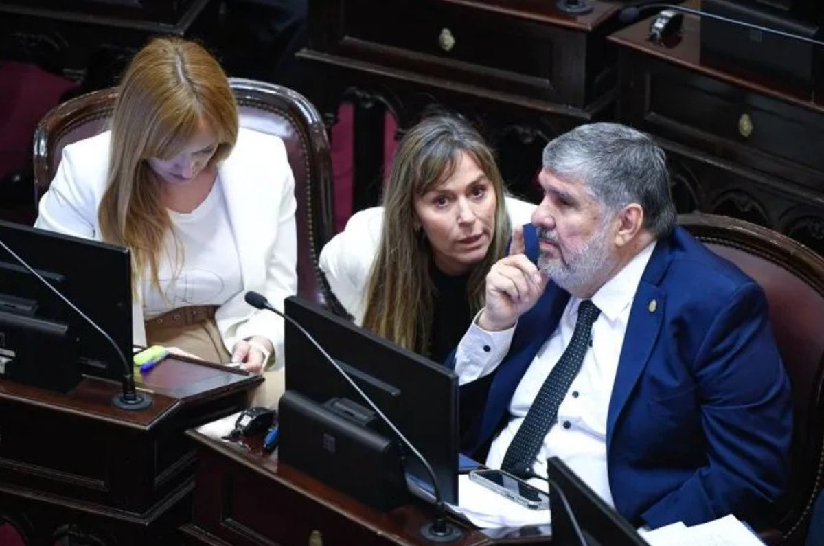 Referentes de los senadores nacionales de Unión por la Patria: Anabel Fernández Sagasti, Juliana Di Tullio y José Mayans. Referentes de los senadores nacionales de Unión por la Patria: Anabel Fernández Sagasti, Juliana Di Tullio y José Mayans.