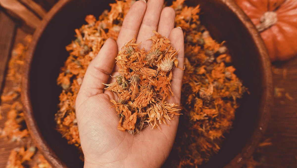 En Argentina, a la caléndula se la conoce comúnmente como Maravilla y Botón de oro, aunque también puede ser llamada Culo de vieja. En Argentina, a la caléndula se la conoce comúnmente como Maravilla y Botón de oro, aunque también puede ser llamada Culo de vieja.