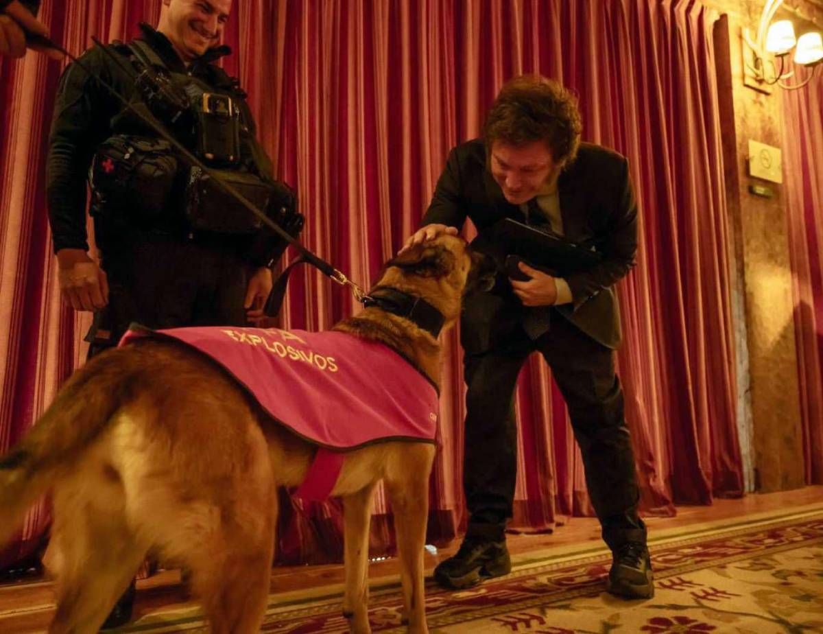 Políticos en acción. El presidente Javier Milei acaricia a un perro de la Brigada de Explosivos durante el Foro Llao Llao, en Bariloche. Políticos en acción. El presidente Javier Milei acaricia a un perro de la Brigada de Explosivos durante el Foro Llao Llao, en Bariloche.