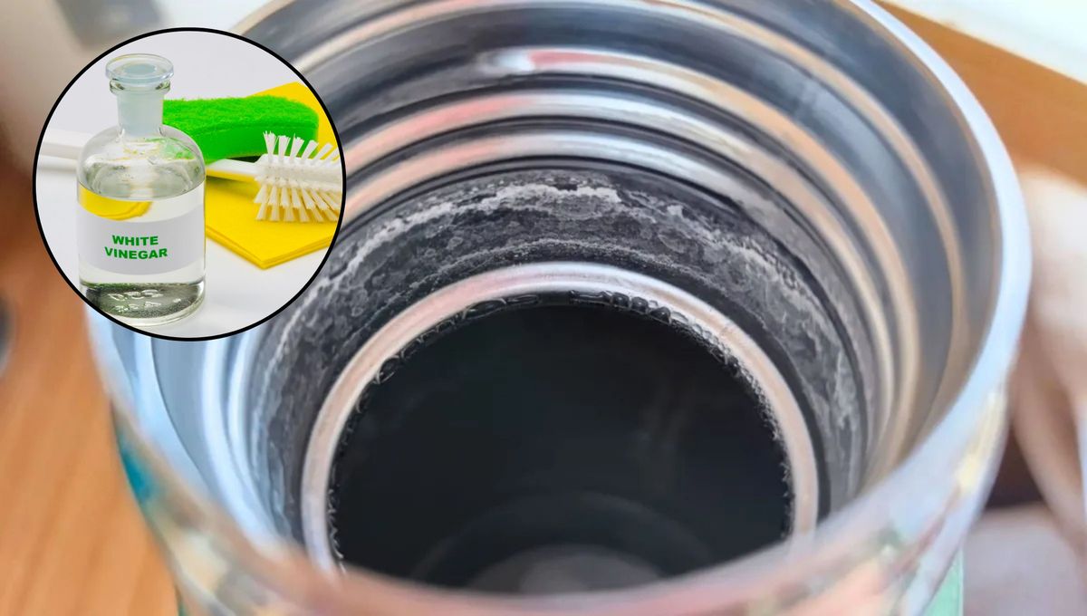 Por qué hay que ponerle vinagre al termo del mate.&nbsp;