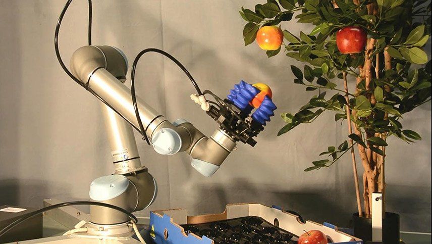 Un robot agricultor que cosecha la fruta del árbol