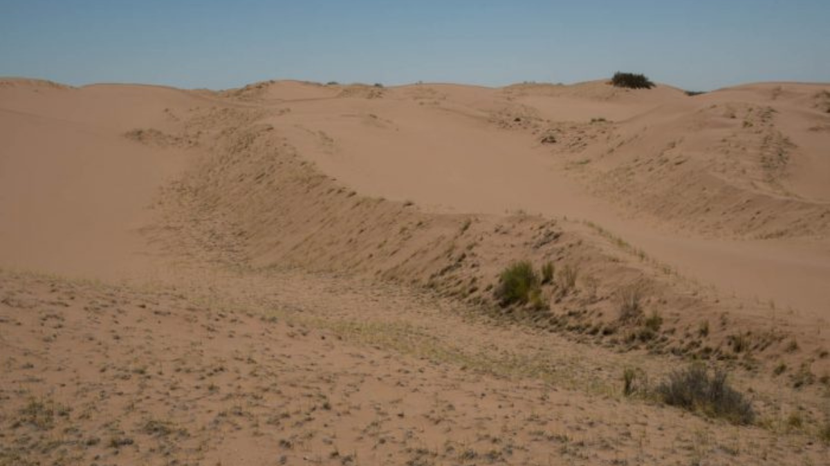 El nombre telteca deriva en lengua huarpe teñc maduro, y teca de fruto fruto maduro del algarrobo. El nombre telteca deriva en lengua huarpe teñc maduro, y teca de fruto fruto maduro del algarrobo.