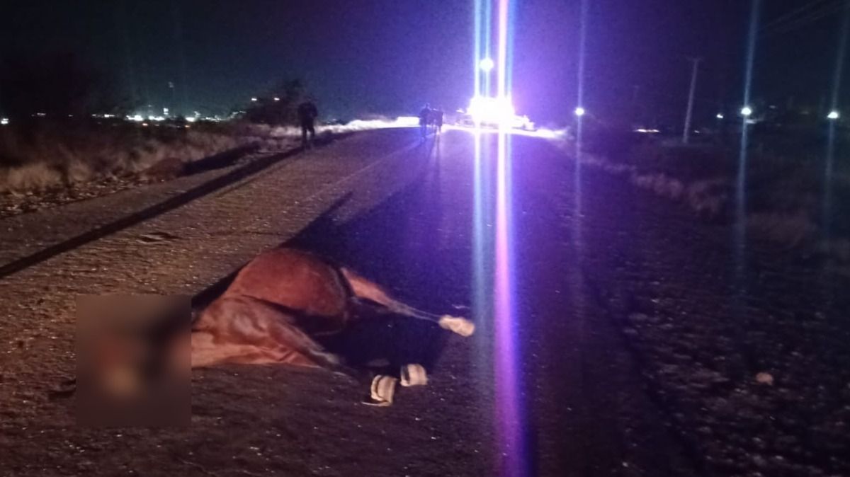 La niña tenía una herida en su cuero cabelludo, sangrado nasal y por boca, además de golpes graves por el impacto. La niña tenía una herida en su cuero cabelludo, sangrado nasal y por boca, además de golpes graves por el impacto.