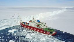 A 700 metros bajo el océano de la Antártida emerge un depredador desconocido