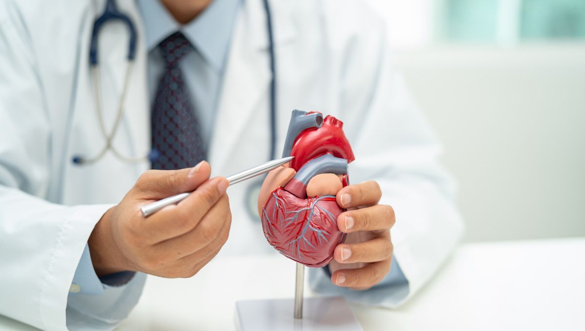 La semilla que mejora la salud cardiovascular y que tiene más Omega 3 que el salmón