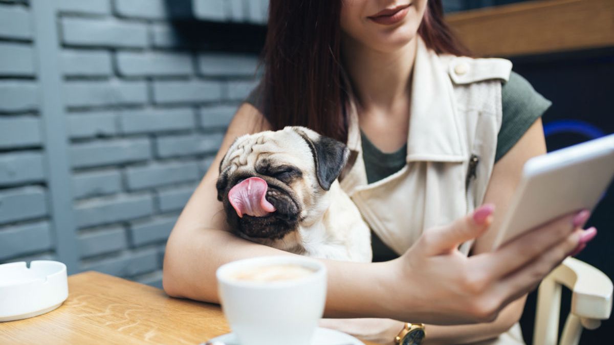 Virgo es uno de los signos del zodiaco que tiene un tema de conversación favorito para su primera cita: las mascotas.