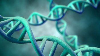 Desarrollan una técnica para clonar miles de genes al mismo tiempo