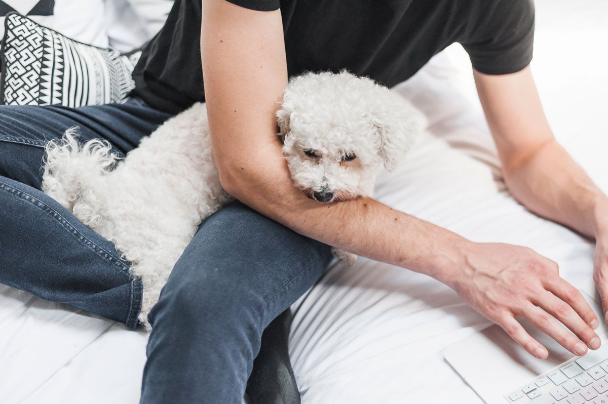 Identificar este comportamiento a tiempo es clave para evitar que afecte la calidad de vida de la mascota. Crédito: Freepik. Identificar este comportamiento a tiempo es clave para evitar que afecte la calidad de vida de la mascota. Crédito: Freepik.