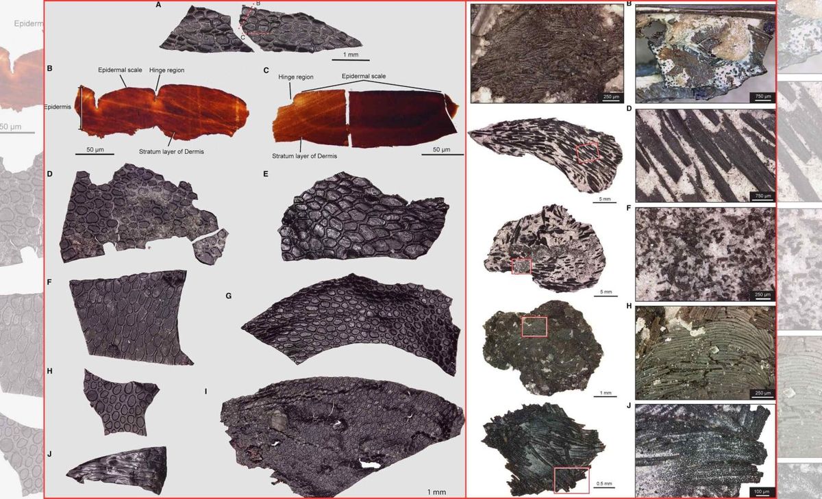 Descubrimiento en el fondo de una cueva es el más viejo encontrado hasta ahora