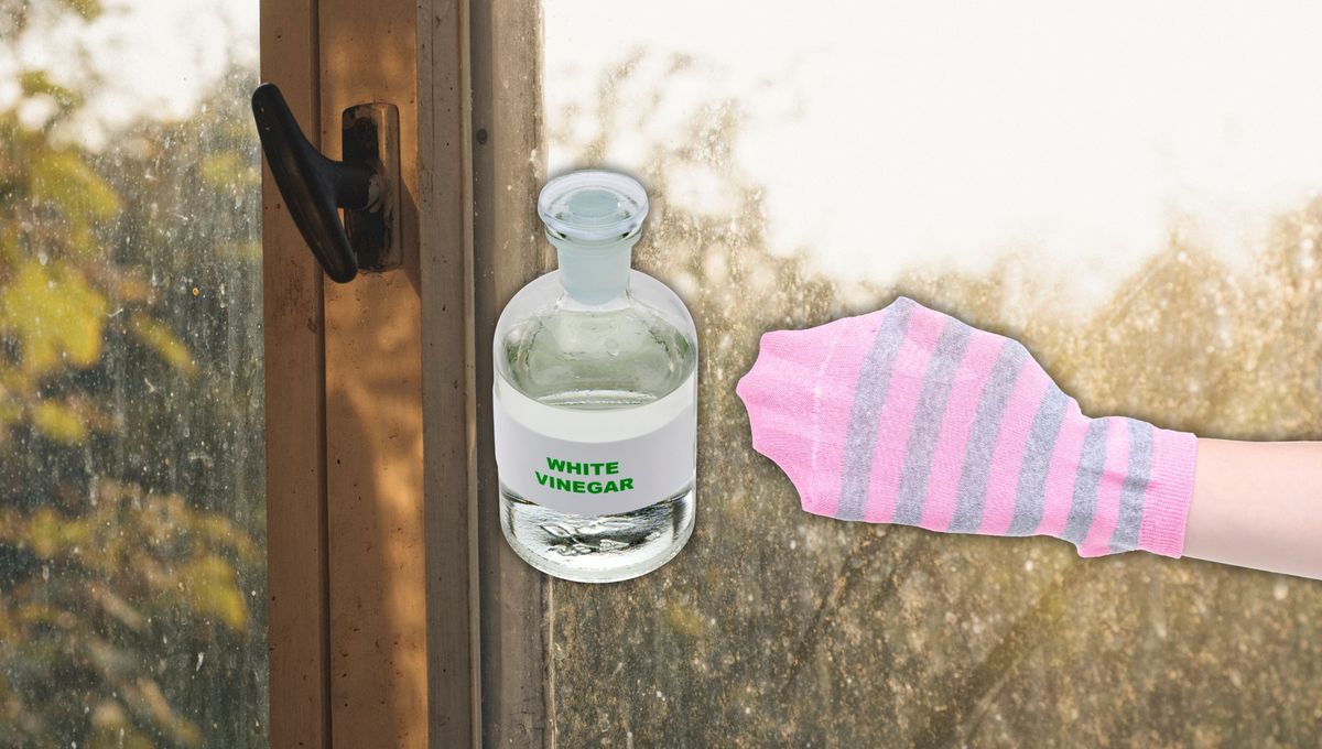 La media permite una limpieza más pareja y localizada. La media permite una limpieza más pareja y localizada. 