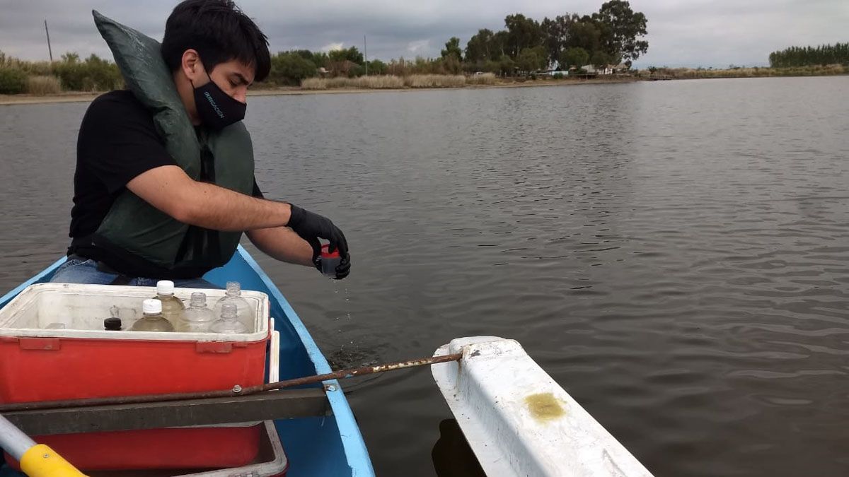 Mortandad de peces: Irrigación investiga y el PJ pide explicaciones