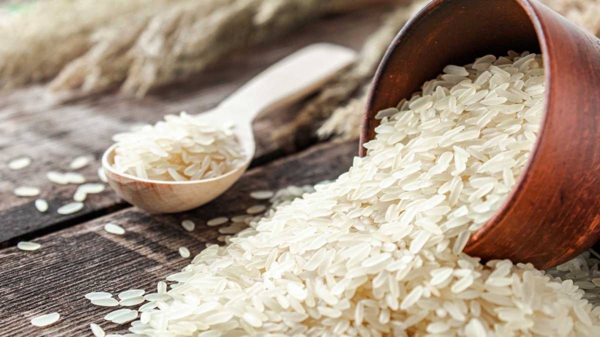 Who are the people who should not eat rice according to Harvard University?