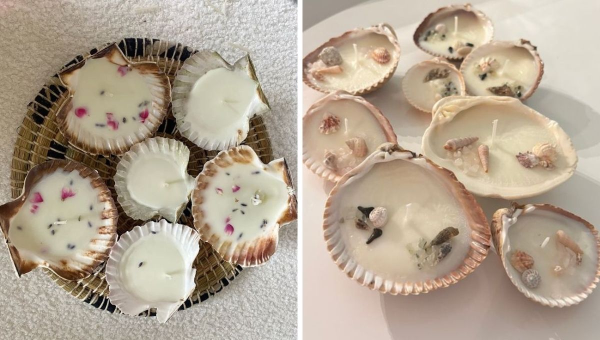 Velas hechas con conchas y caracoles de mar.&nbsp;