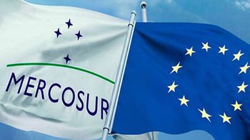 El Parlamento Europeo frenó el acuerdo Mercosur–UE y pidió la intervención de la Justicia El Parlamento Europeo frenó el acuerdo Mercosur–UE y pidió la intervención de la Justicia