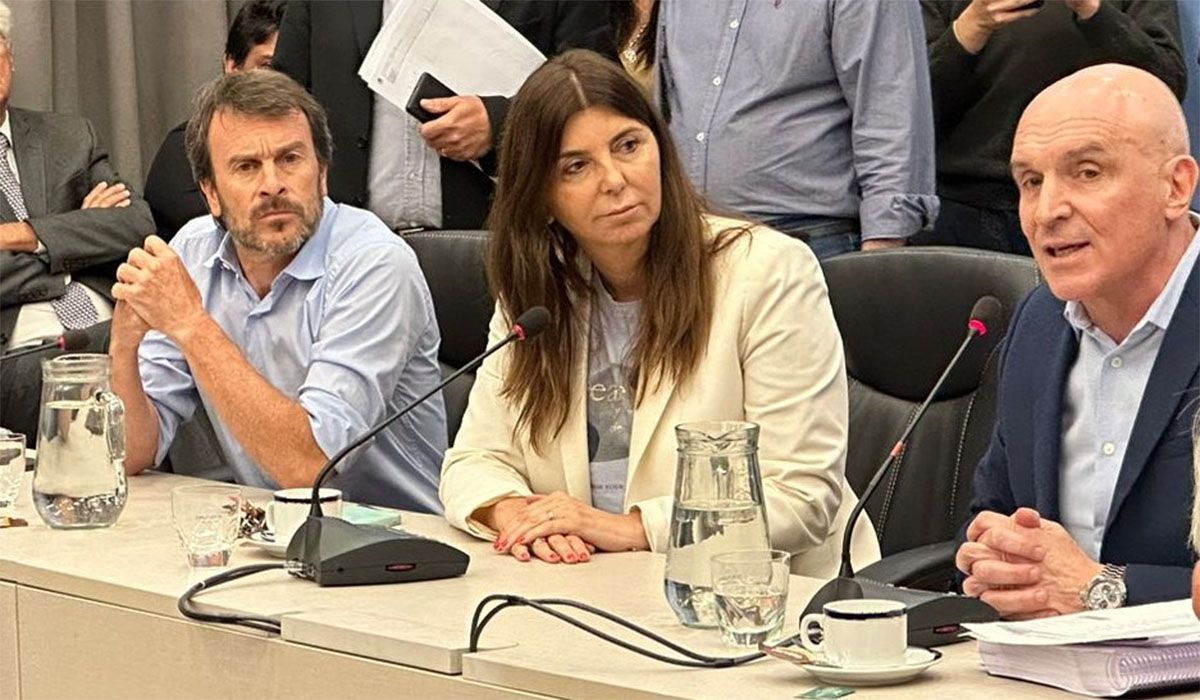 Nieri (izquierda), durante las primeras jornadas de debate en comisiones. Nieri (izquierda), durante las primeras jornadas de debate en comisiones.
