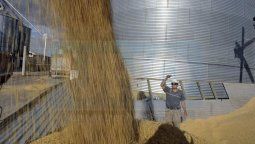 Por el impacto climático se deberán recortar las estimaciones productivas de maíz y soja