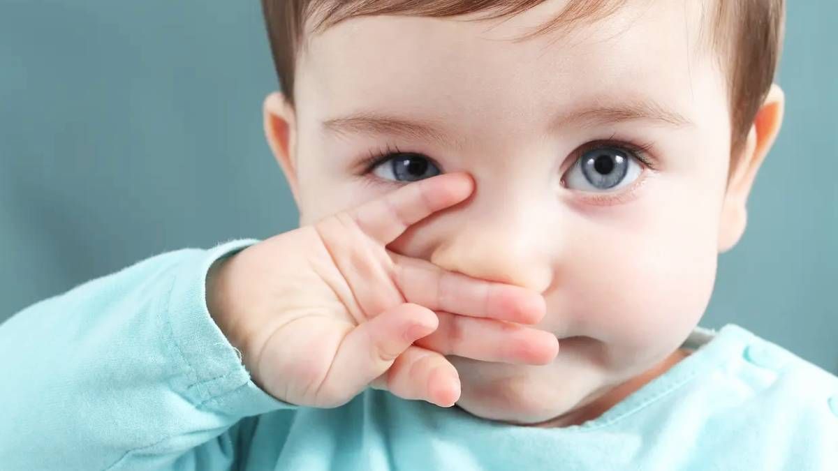 Respira hondo al saber qué significa comerse los mocos según la psicología y la ciencia. Respira hondo al saber qué significa comerse los mocos según la psicología y la ciencia.