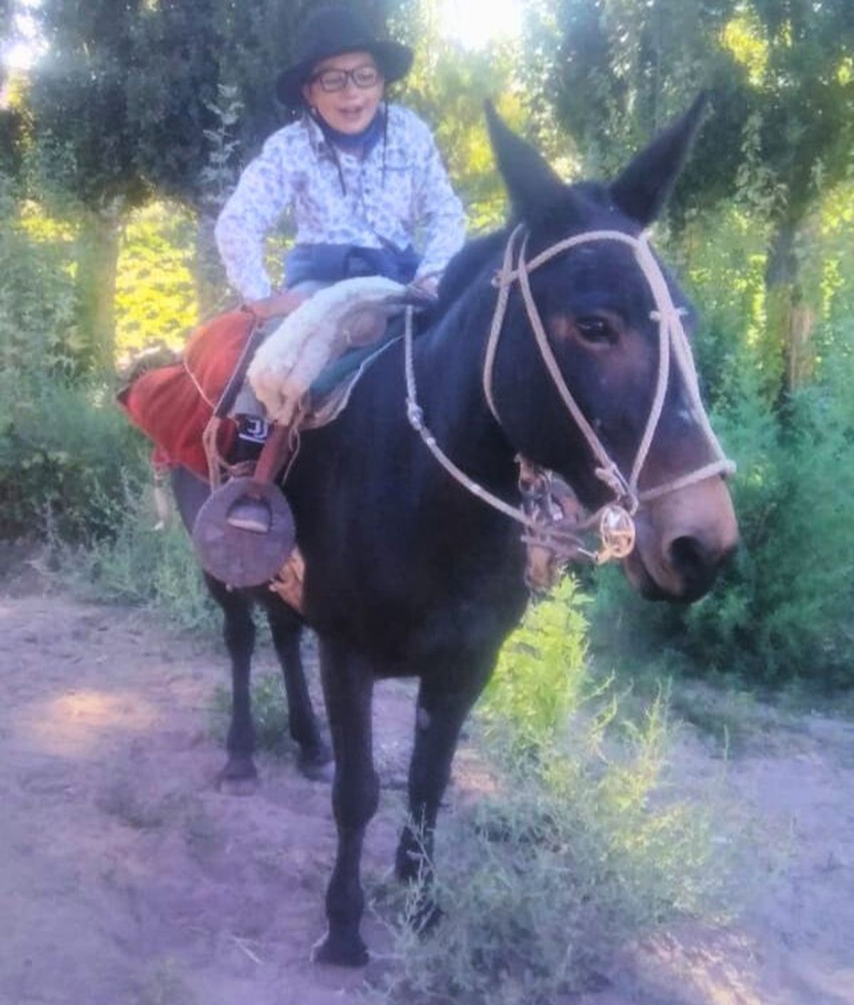 Jesús asiste a una escuela albergue donde aprende a ser responsable. "Voy a extrañar a mi caballo", dice. Jesús asiste a una escuela albergue donde aprende a ser responsable. "Voy a extrañar a mi caballo", dice.