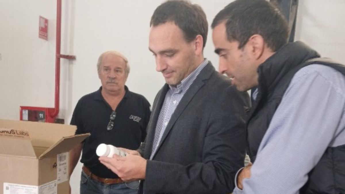 El ministro de Salud de Mendoza, Rodolfo Montero junto al de Hacienda, Victor Fayad, revisan el cargamento de remedios que llegó de India. Javier Milei destacó la decisión en su red social X- Foto: Prensa de Gobierno