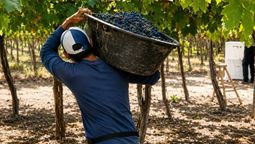 COVIAR divide aguas entre empresarios: unos respaldan los aportes obligatorios y otros celebran su caída COVIAR divide aguas entre empresarios: unos respaldan los aportes obligatorios y otros celebran su caída