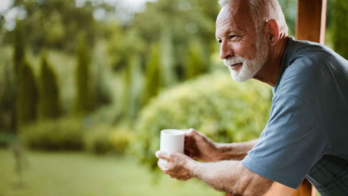 Estudio científico revela que una popular infusión es capaz de prevenir lesiones en el cerebro Estudio científico revela que una popular infusión es capaz de prevenir lesiones en el cerebro