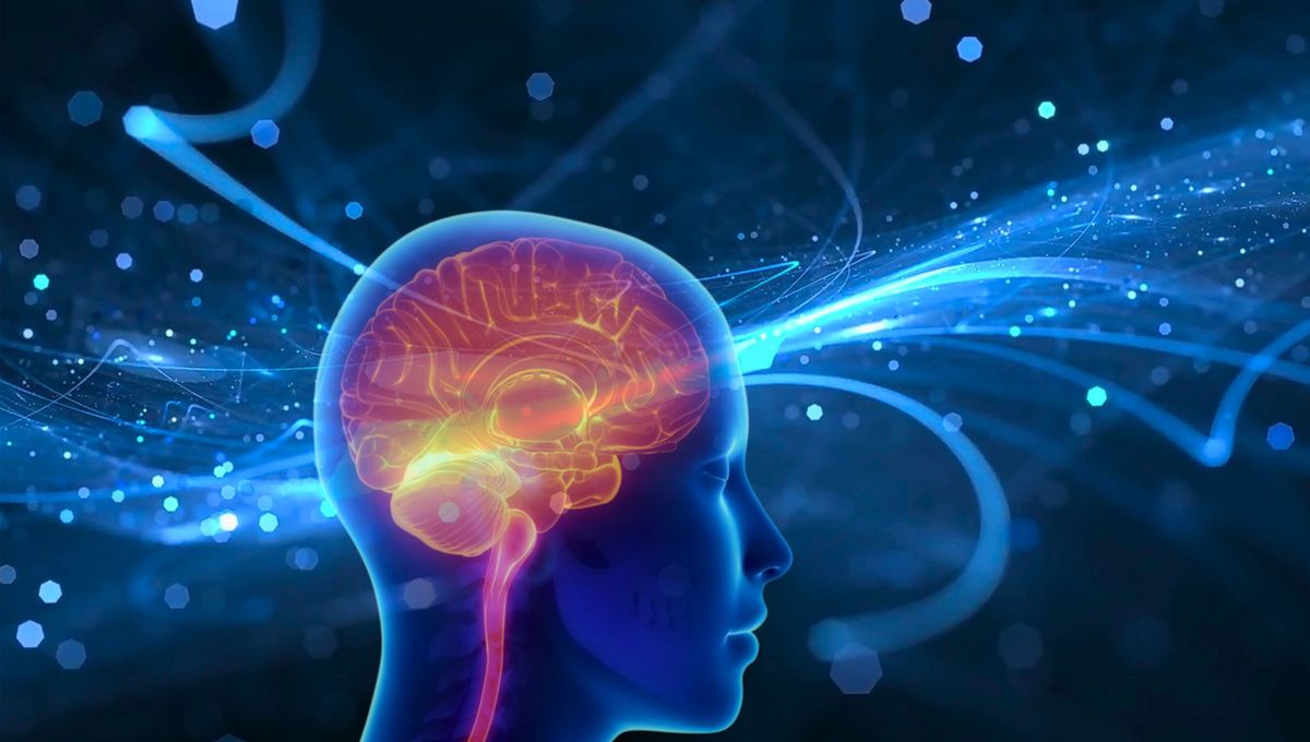 La concentración es un procedimiento cognitivo, una destreza que se aprende, es susceptible de mejorarse y desarrollarse con la práctica. La concentración es un procedimiento cognitivo, una destreza que se aprende, es susceptible de mejorarse y desarrollarse con la práctica.