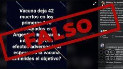 La ANMAT aseguró que no hay reportes de muertes entre quienes se aplicaron vacunas.