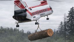 Helicópteros están arrojando troncos sobre ríos de Estados Unidos: más de 6.000 árboles con un objetivo vital Helicópteros están arrojando troncos sobre ríos de Estados Unidos: más de 6.000 árboles con un objetivo vital