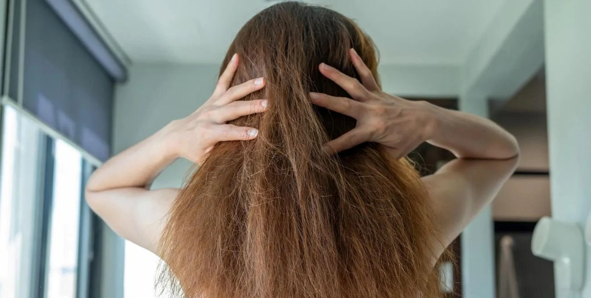 El truco casero para eliminar el frizz y tener un cabello sano sin ir al salón