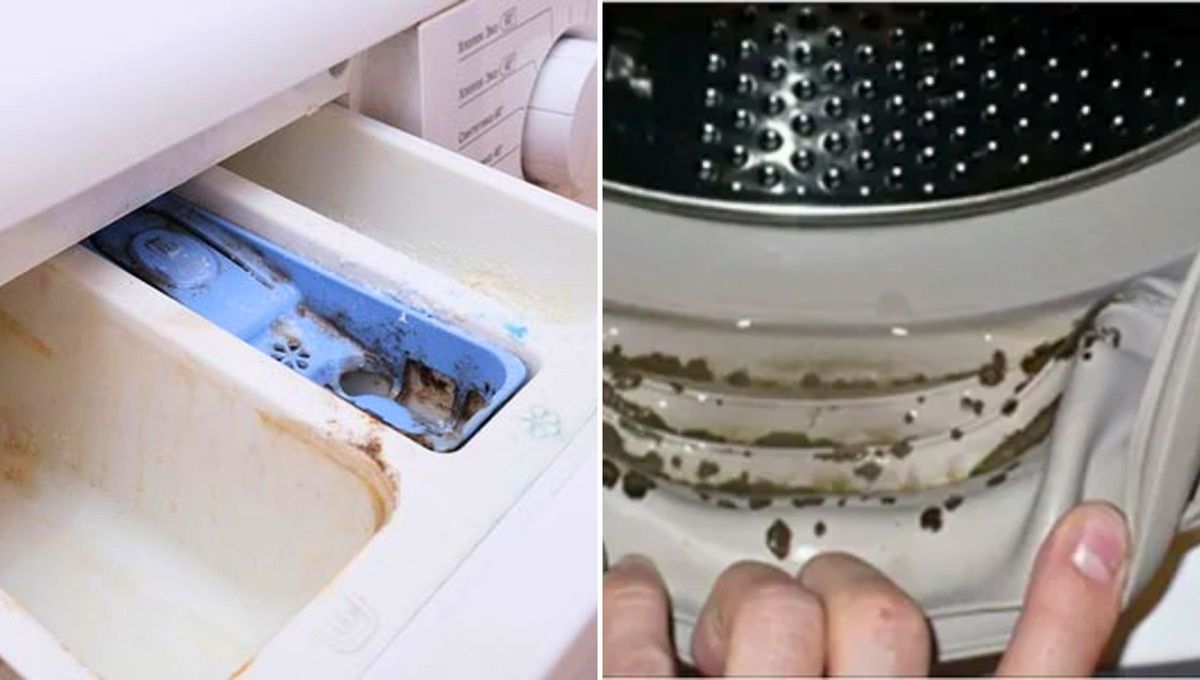 Los restos de jabón en el compartimiento y el moho en la goma de la puerta del electrodoméstico es una de las razones por la que la ropa sale manchada. Los restos de jabón en el compartimiento y el moho en la goma de la puerta del electrodoméstico es una de las razones por la que la ropa sale manchada.