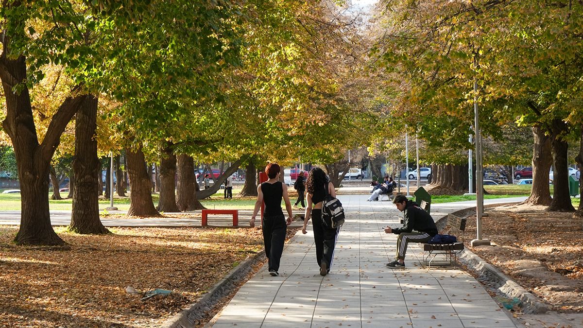Pronóstico del tiempo en Mendoza para toda la semana: este domingo estará agradable