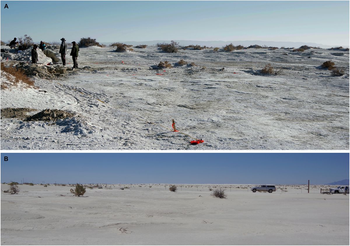 Los científicos podrían haber cambiado la historia de la humanidad. Los científicos podrían haber cambiado la historia de la humanidad.