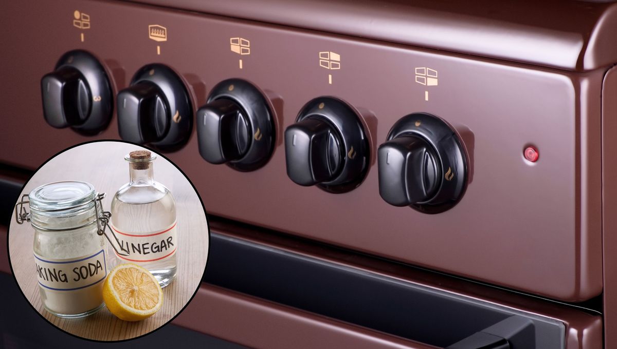 Estos ingredientes son seguros, efectivos y fáciles de conseguir. Estos ingredientes son seguros, efectivos y fáciles de conseguir. 