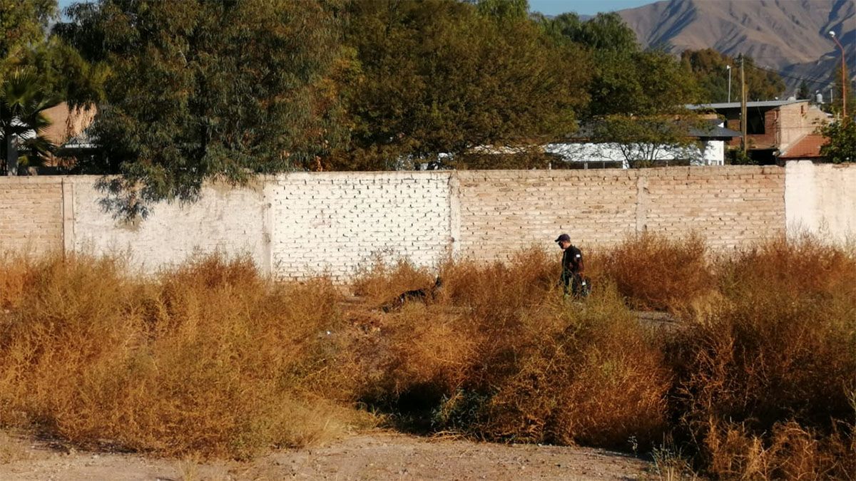 Intensa búsqueda de Abigail Carniel en el barrio Jorge Newvery, de Las Heras