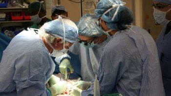 Dos neurocirujanos afirman haber reparado la médula espinal de varios perros