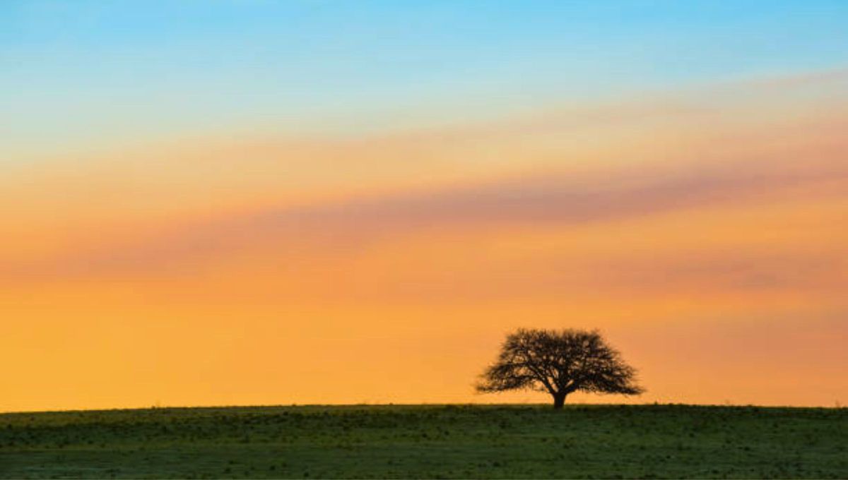 Este ícono del turismo de la provincia de La Pampa atesora en sus 7.600 hectáreas de historia, cultura y naturaleza. Entre ellas el bosque de caldenes de mayor extensión en el mundo, cercana a las 6000 hectáreas Este ícono del turismo de la provincia de La Pampa atesora en sus 7.600 hectáreas de historia, cultura y naturaleza. Entre ellas el bosque de caldenes de mayor extensión en el mundo, cercana a las 6000 hectáreas
