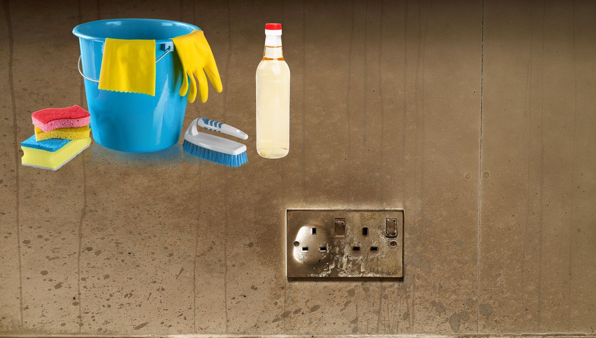 Puedes combinar el vinagre con un poco de bicarbonato para que la limpieza sea más profunda Puedes combinar el vinagre con un poco de bicarbonato para que la limpieza sea más profunda