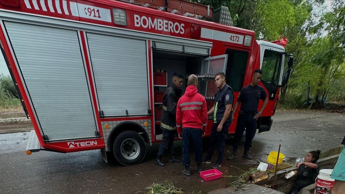 Bomberos del Cuartel Central axiliaron a los perros. Bomberos del Cuartel Central axiliaron a los perros.