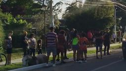 Policías chocaron contra un caballo en Tunuyán. Policías chocaron contra un caballo en Tunuyán.