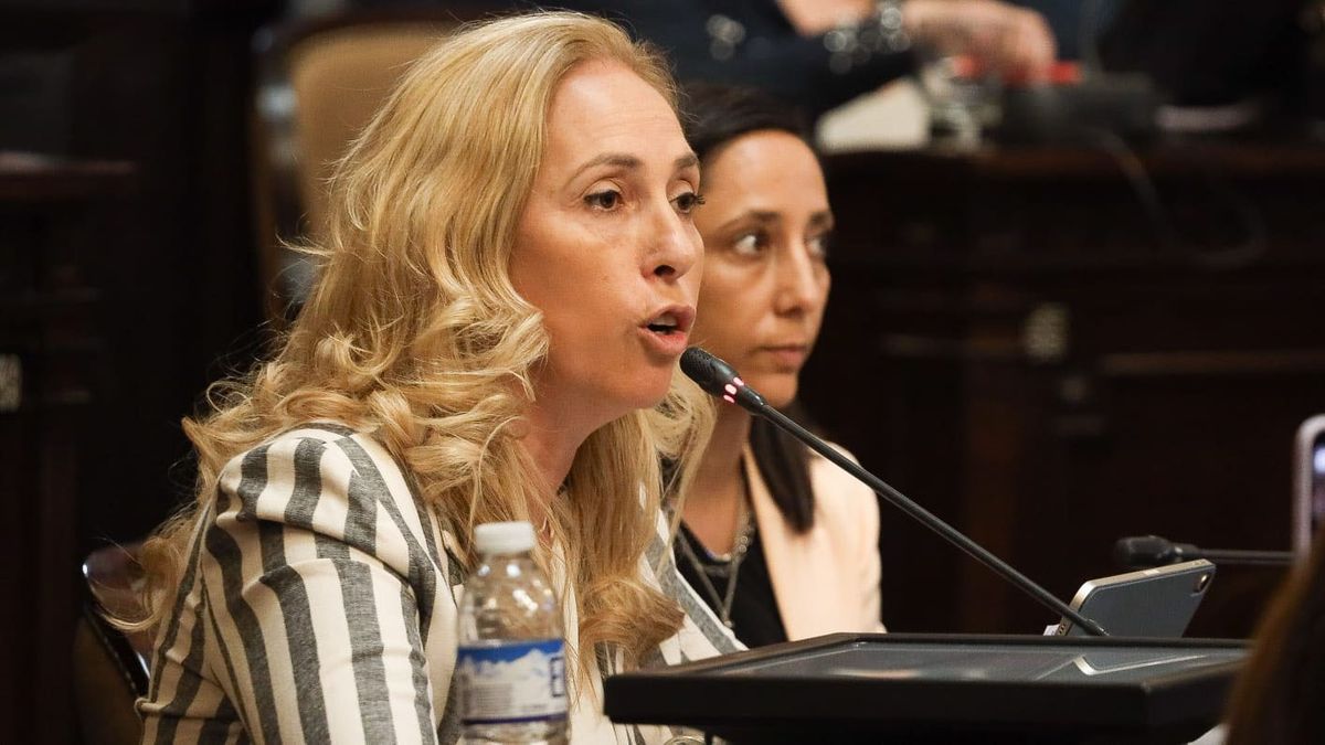 Senadora Fernanda Sabadín, una de las miembros informantes del proyecto PSJ en la Cámara Alta. Senadora Fernanda Sabadín, una de las miembros informantes del proyecto PSJ en la Cámara Alta.