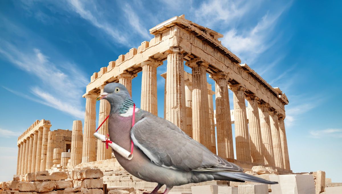 Las palomas también se utilizaron recientemente en la Segunda Guerra Mundial para llevar mensajes selectos. Las palomas también se utilizaron recientemente en la Segunda Guerra Mundial para llevar mensajes selectos.